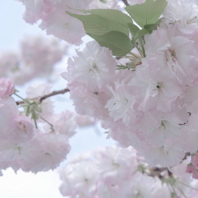 Furry角色比例设计技巧兽圈群